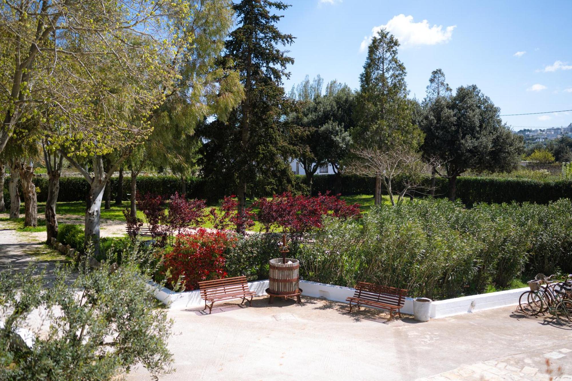 מרטינה פרנקה Masseria San Michele מראה חיצוני תמונה