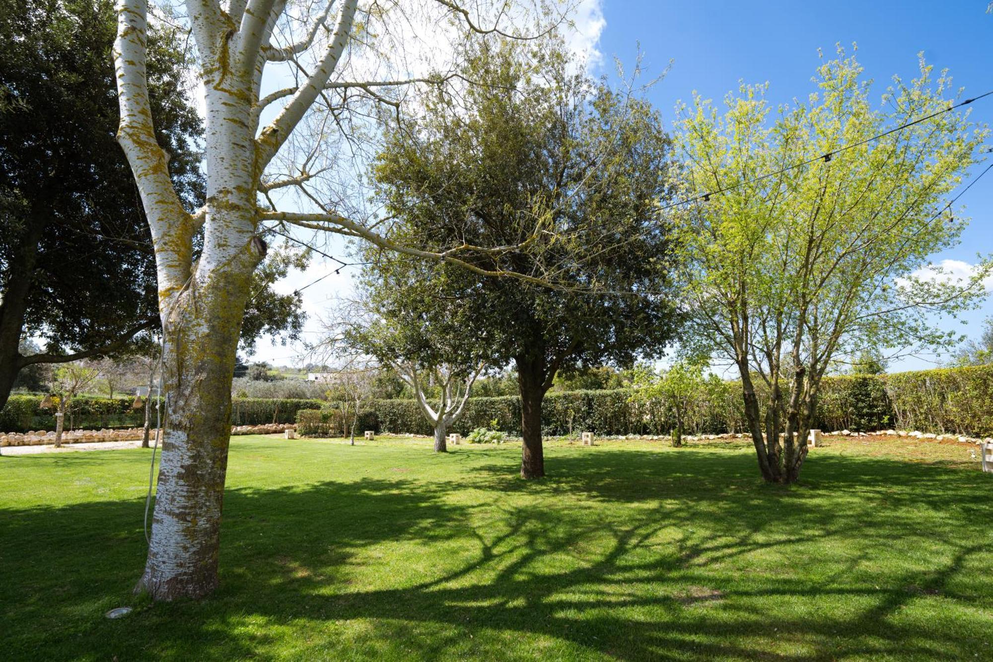 מרטינה פרנקה Masseria San Michele מראה חיצוני תמונה