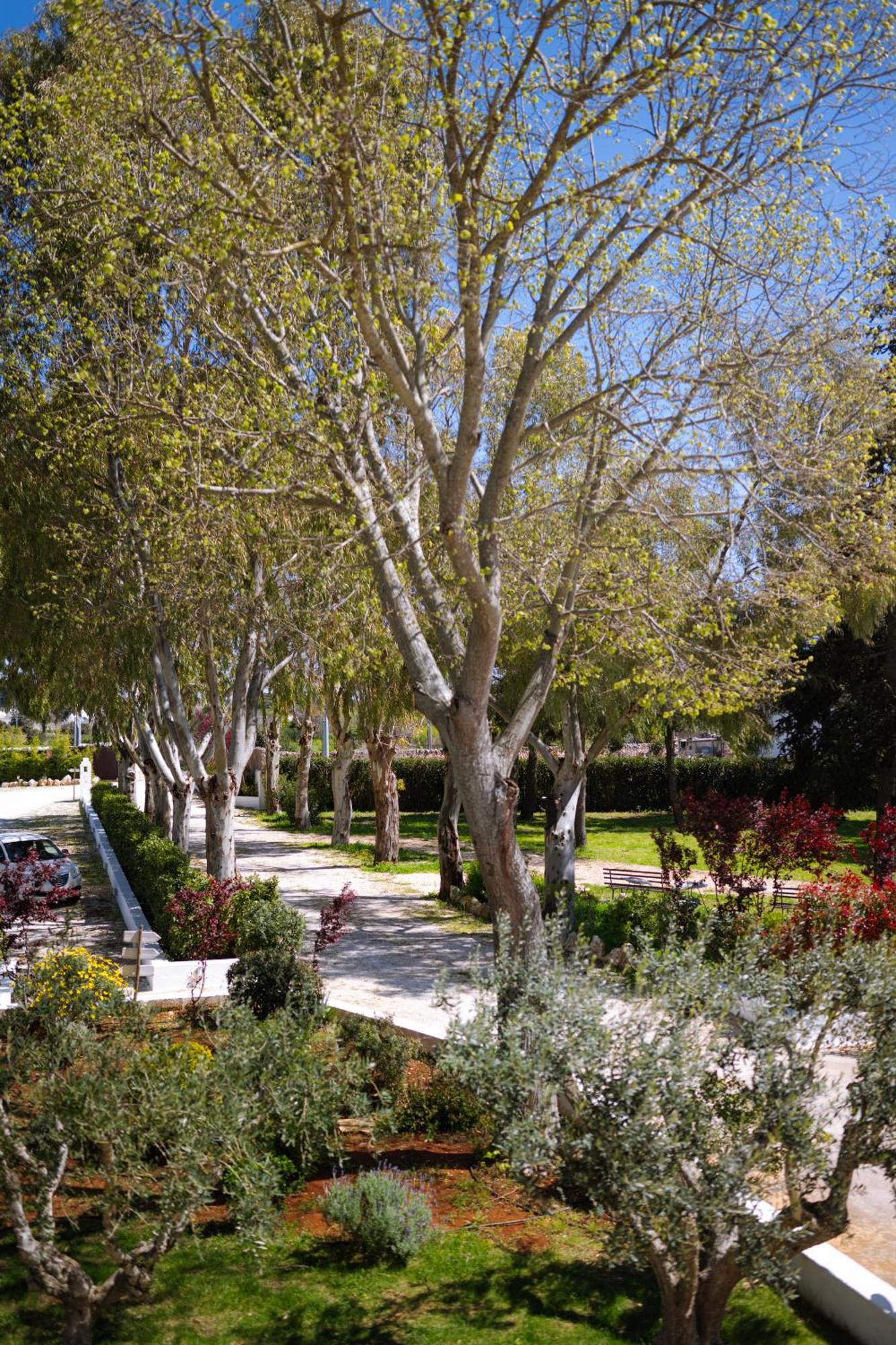 מרטינה פרנקה Masseria San Michele מראה חיצוני תמונה