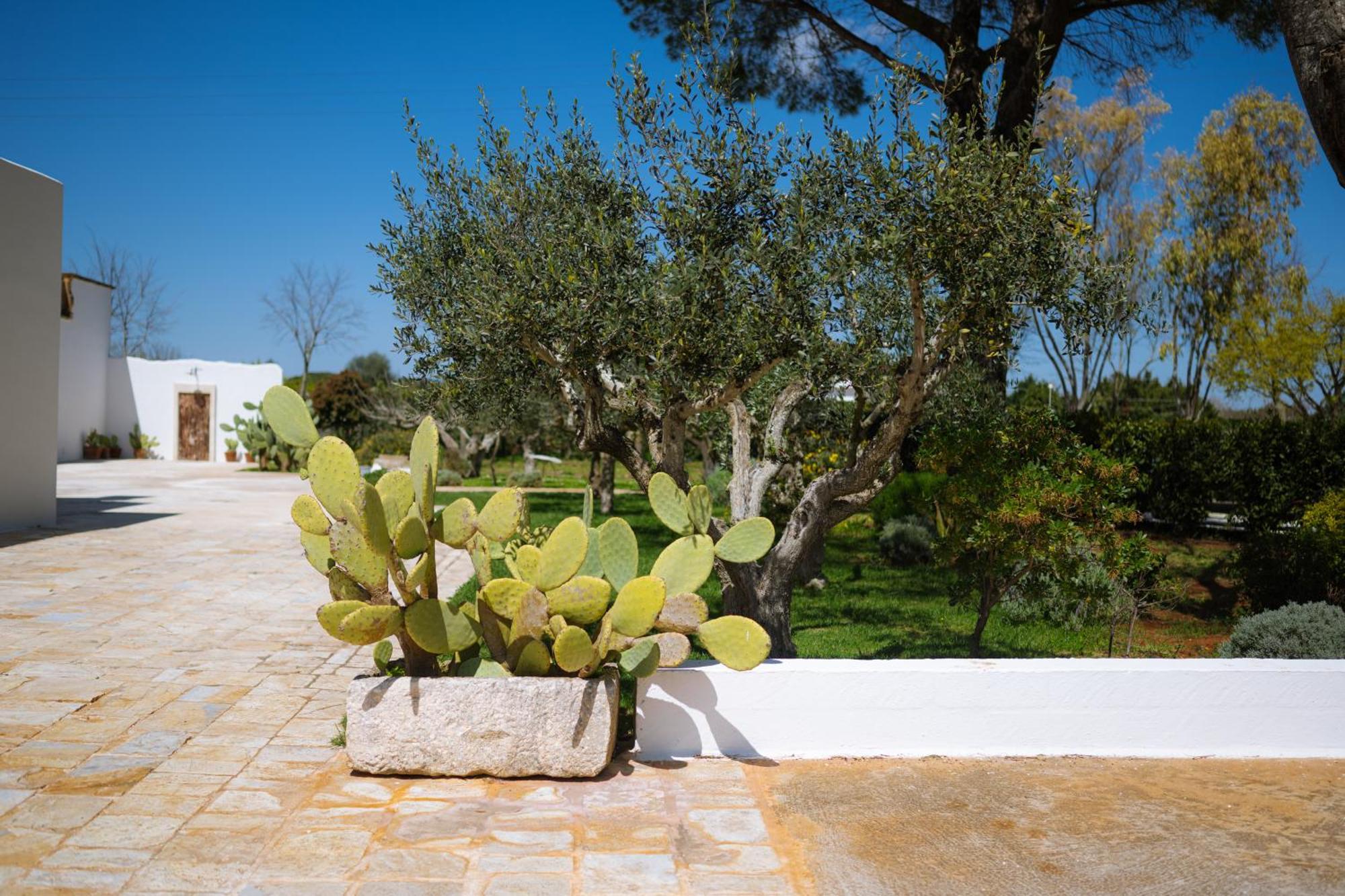 מרטינה פרנקה Masseria San Michele מראה חיצוני תמונה